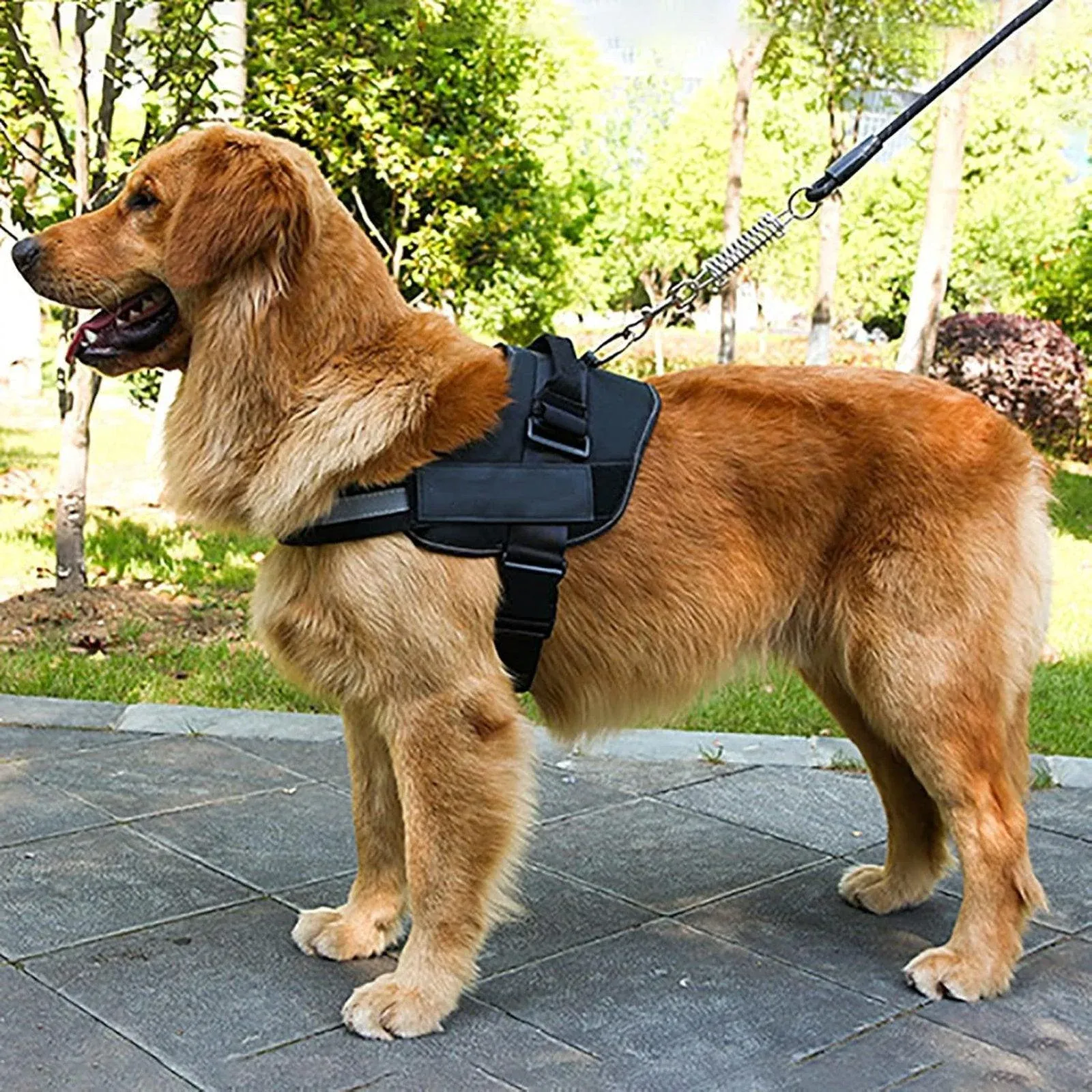 Adjustable Dog Vest Harness for Small Medium Dogs Comfortable No Pull Design - Black-XL — image 6