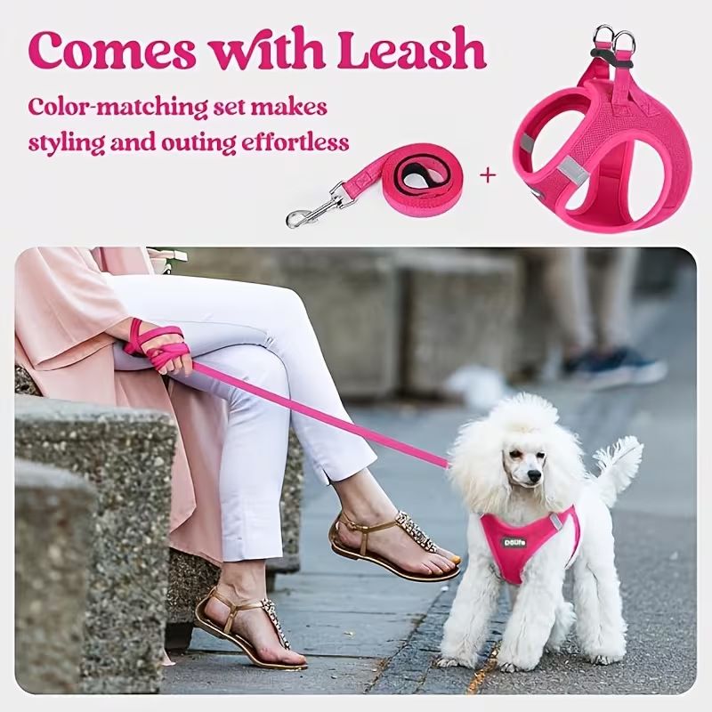 Blue Breathable Dog Harness and Leash Set - Adjustable Reflective Pet Vest with Swivel Clip(Size: L) — image 6