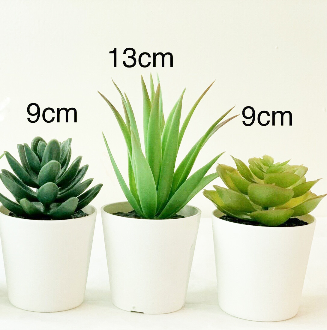 3 Pack of Artificial Succulent Potted Plants in White Plastic 6cm Pot Interior Decoration โ image 3