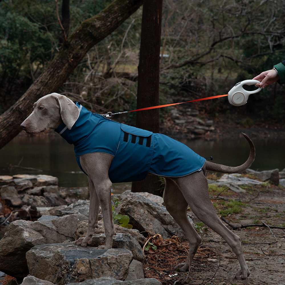 XL Dark Blue All-Season Pet Raincoat - Waterproof & Dustproof High-Collar Dog Windbreaker for Spring