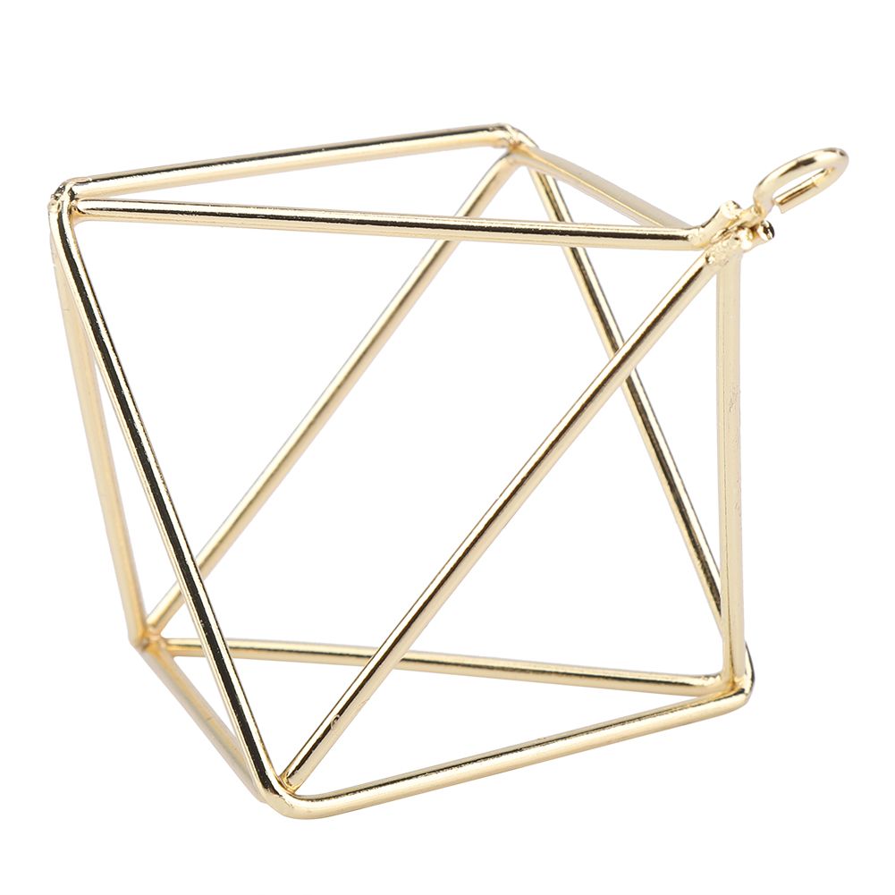 Geometric Air Pants Holder Fashionable Flowers Bromeliads Hanging Rack Home Decor Gold — image 3