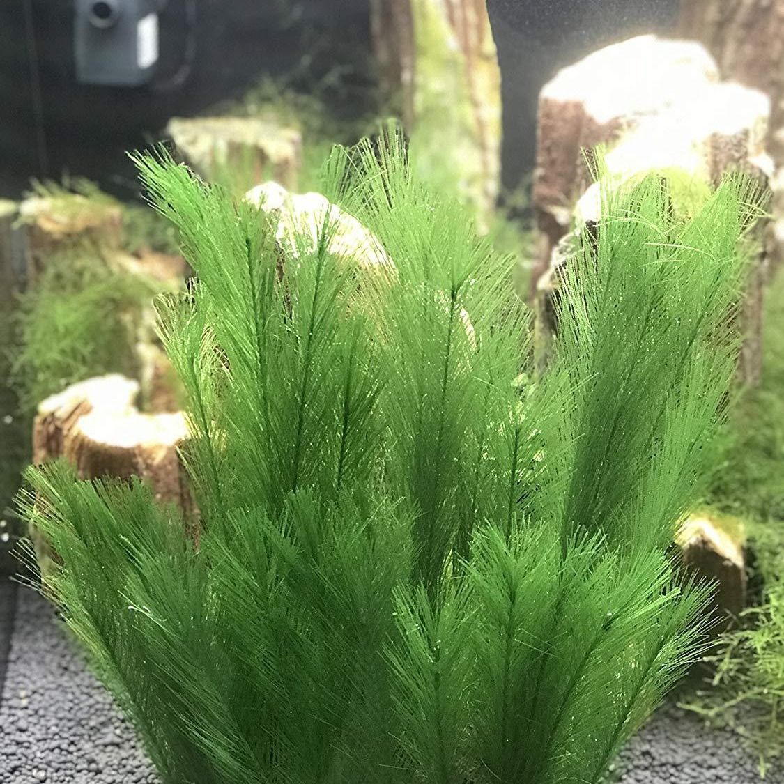 3pcs Fish tank decorations β image 2