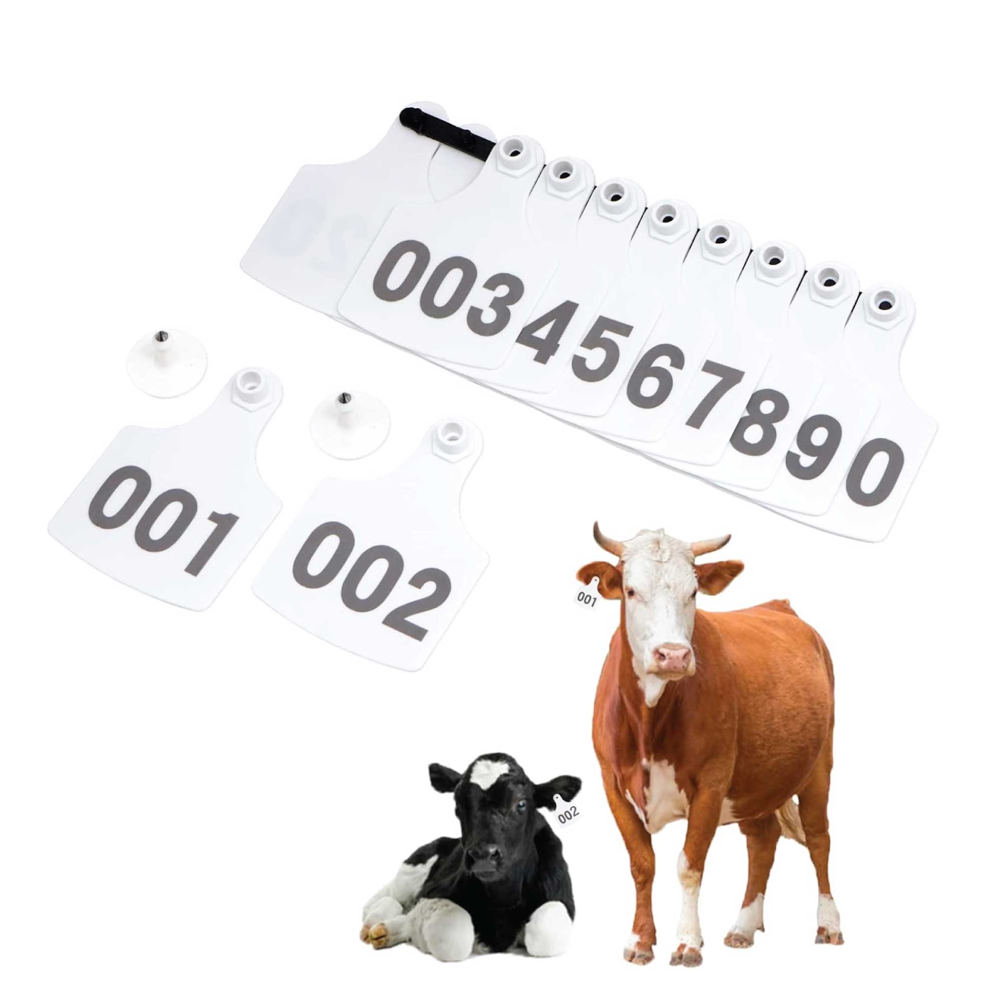 1-100 Cattle Number Ear Tag 6 × 7cm Set - Medium White Cow Sheep Livestock Label — image 5