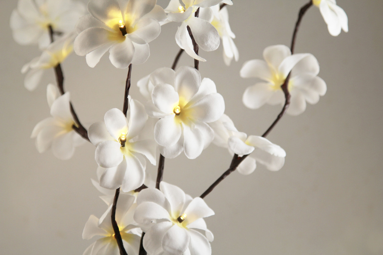 1 Set of 50cm H 20 LED White Frangipani Tree Branch Stem Fairy Light Wedding Event Party Function Table Vase Centrepiece Decoration โ image 3