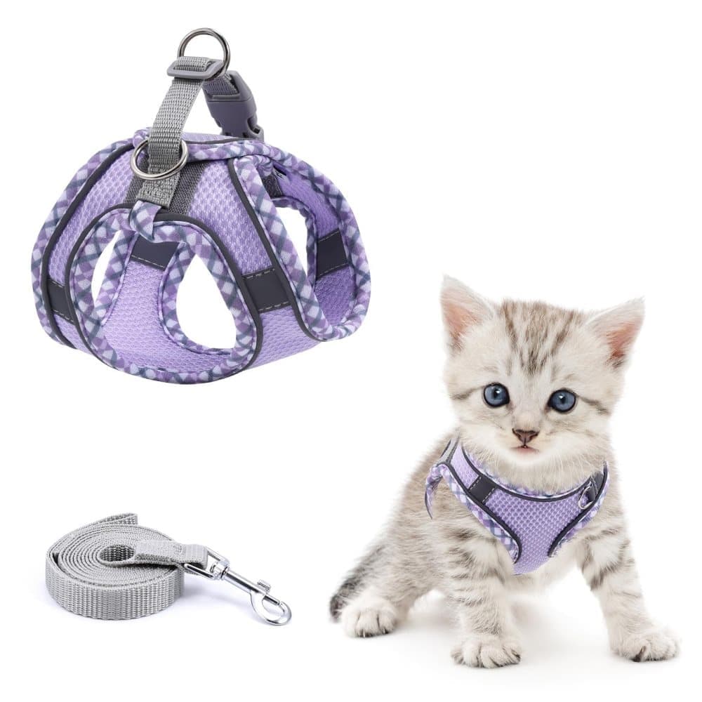 Pet Harness for Cat and Dog, Adjustable with Reflector and Leash, Soft Comfortable Vest Design Anti-Escape, XXS Purple