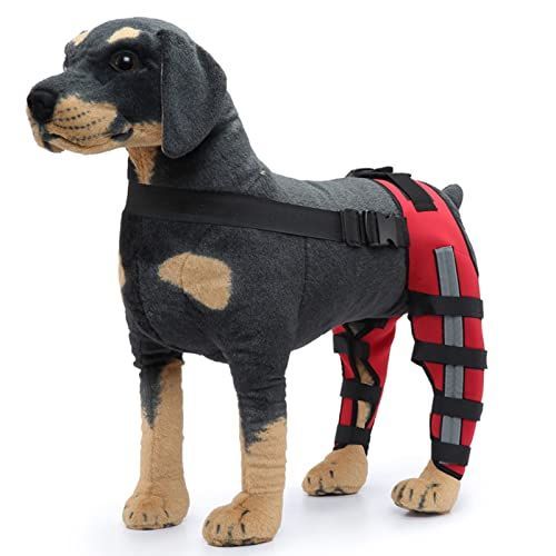 Dog Knee Brace Adjustable Dog Double Rear Leg Brace with Metal Hinged Flexible Support and Reflective Seat Belts Dog Acl Brace Hind Leg - Red - Size L
