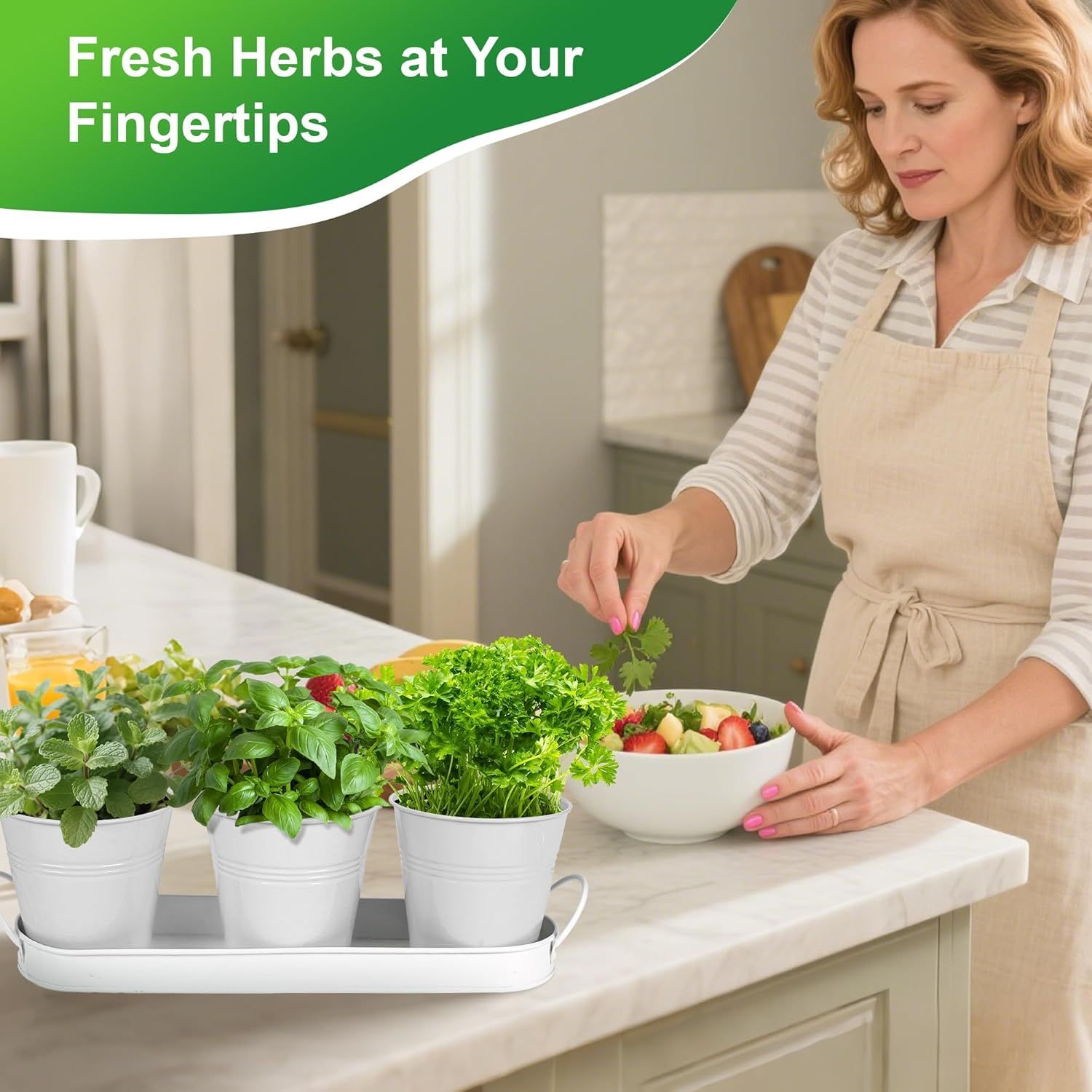 Herb Garden Planter Indoor Kit – 6 Metal Pots with 2 Trays for Windowsill & Kitchen Counter – Modern Decorative Indoor Planters for Herbs, Succulents & Small — image 2