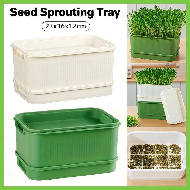 Seedling Tray Sprout Tray Soilless Hydroponic Planting Pot for Indoor Gardening - Green โ image 2