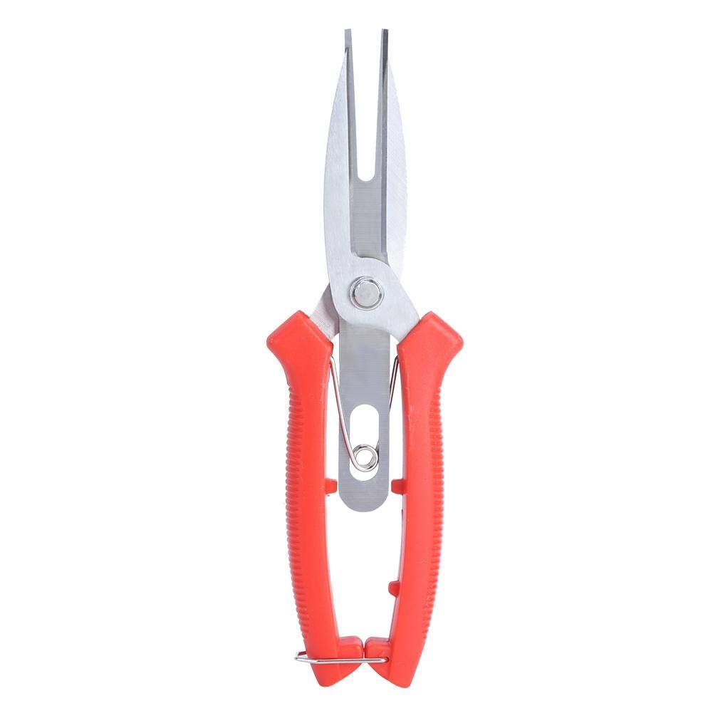 Stainless Steel Forging Apple Pear Tree Garden Scissors for Plant, Double Mouth Scissors Gardening Cutting Shears Pruning Tools — image 2