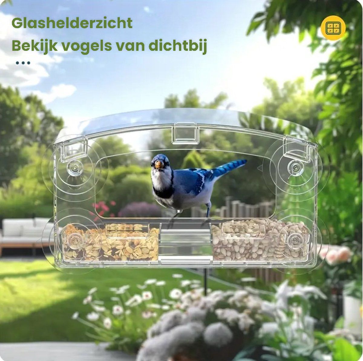 Window Birdhouse, Transparent, With Suction Cups, Feeding Station โ image 5