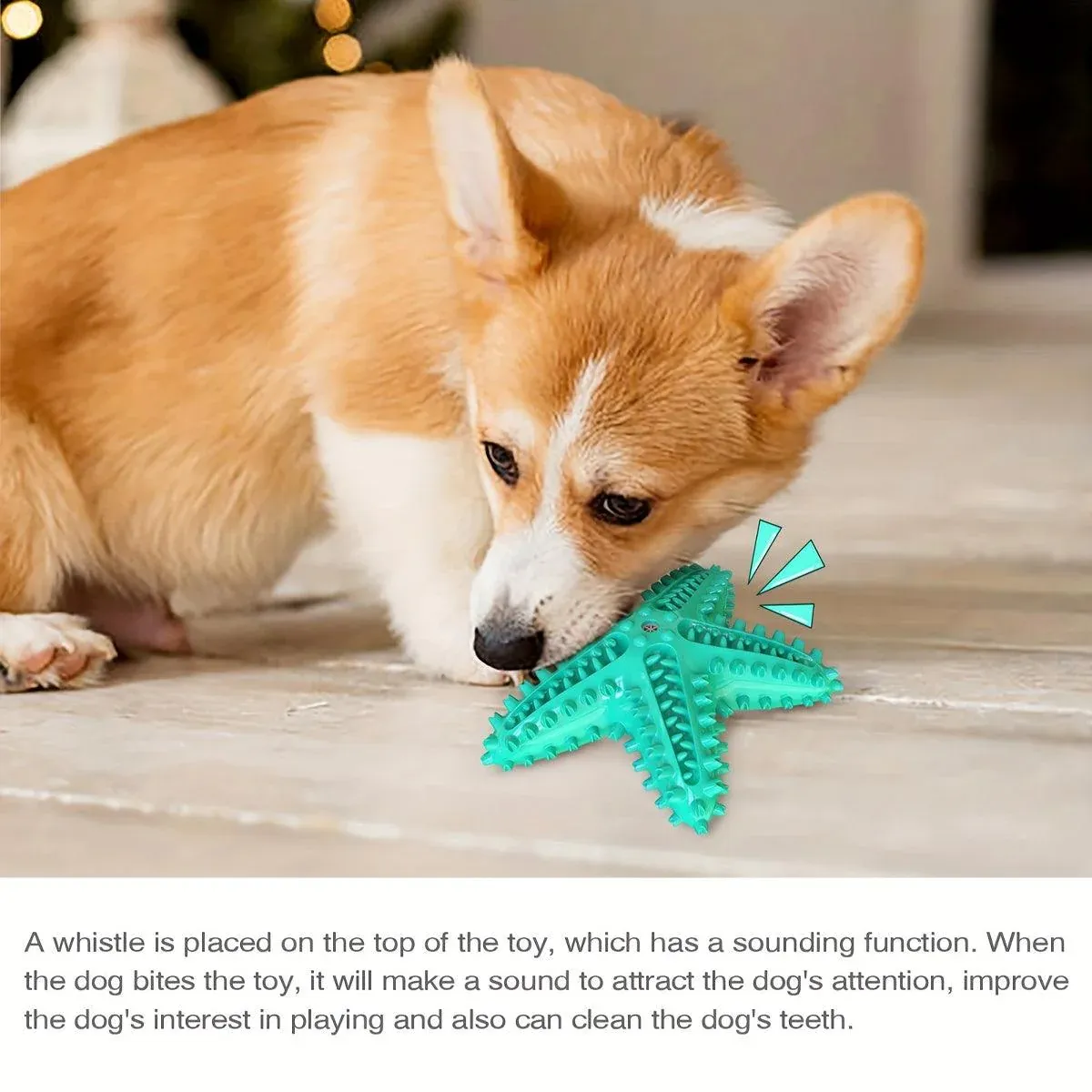 Pet Starfish Floating Dog Toy Audible Water Toy for Dogs Interactive Play Fun - Yellow — image 5