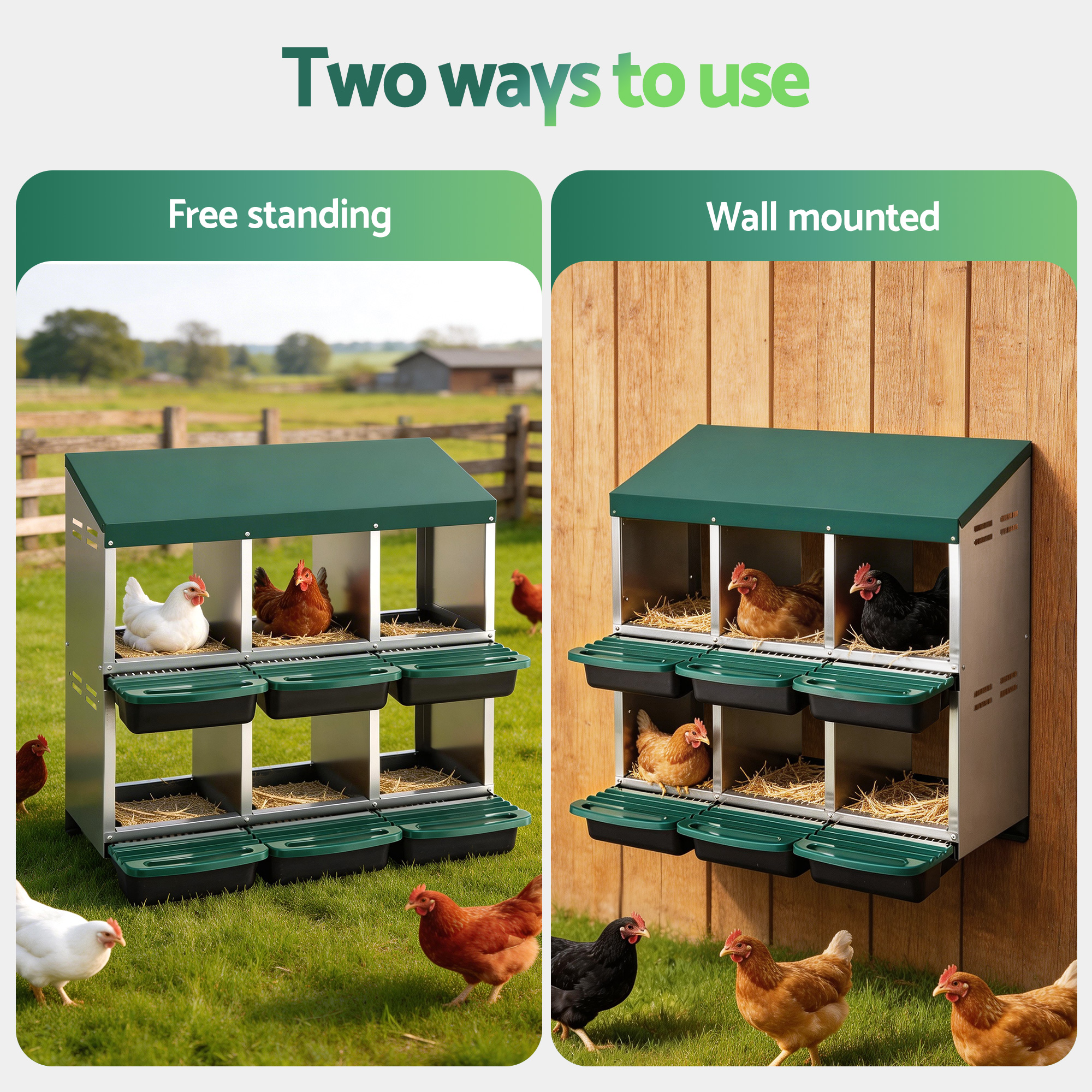 i. Pet Chicken Nesting Box Roll Away Metal Nesting Box Wall Mounted 6 Holes Green — image 4