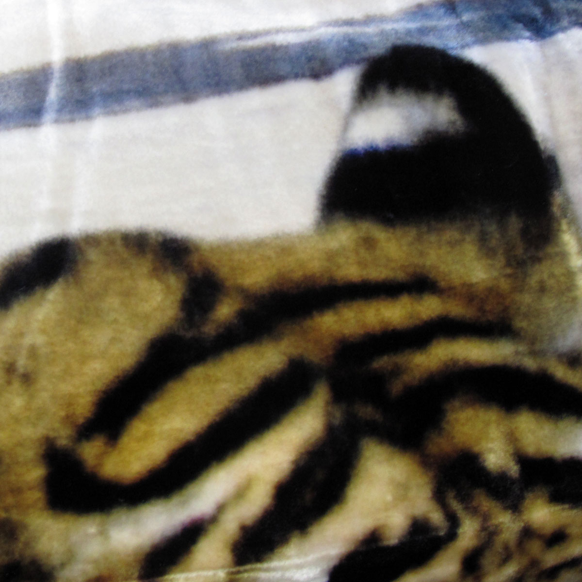 800GSM Luxury Reversible Animal Pattern Mink Blanket Queen 200 x 240 cm Three Tigers Blue — image 4