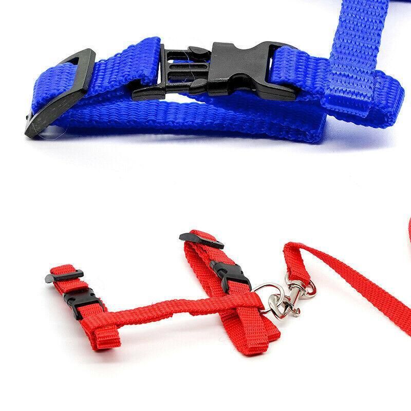 Nylon Cat Harness and Lead Set Adjustable Strap for Outdoor Walks - Blue — image 5