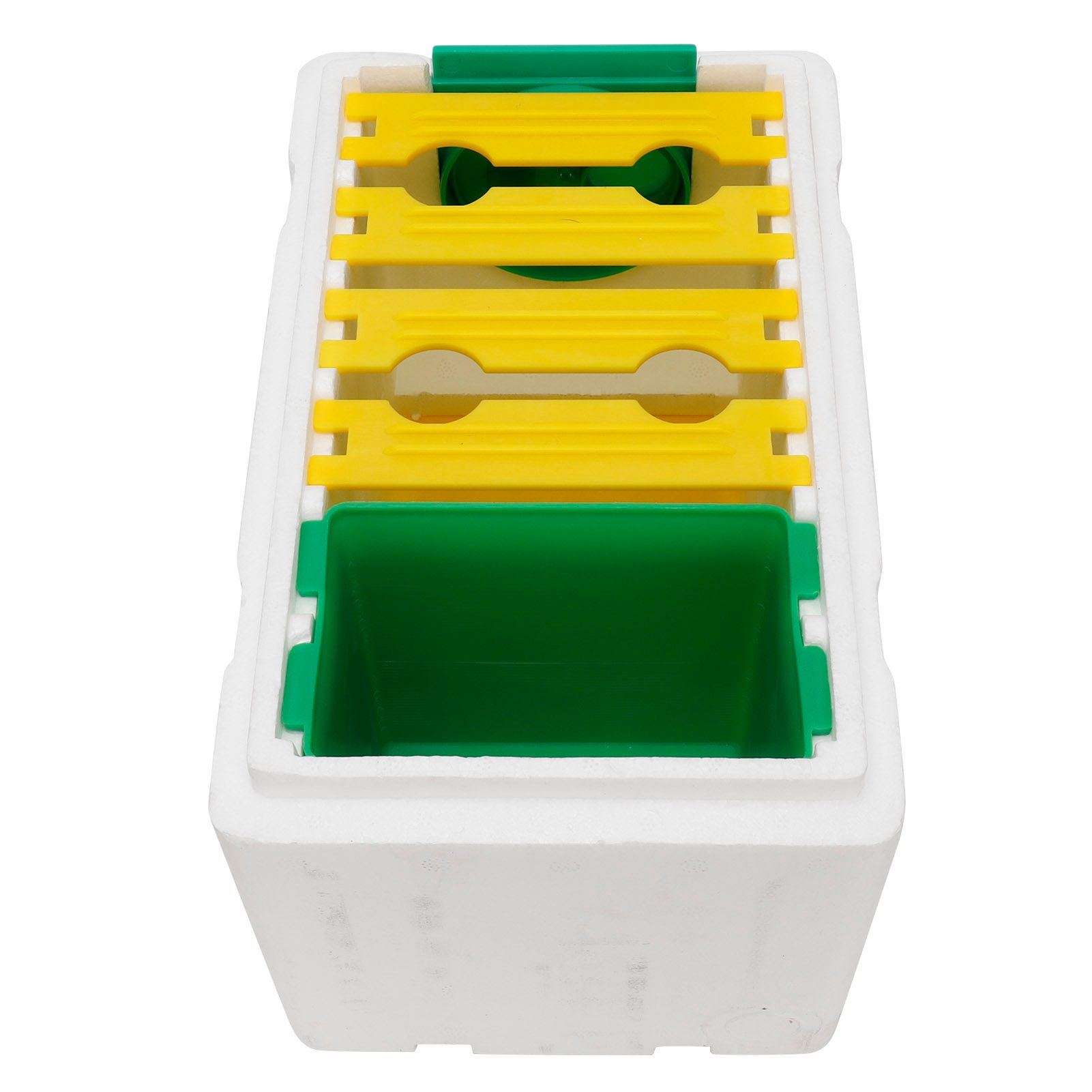 Queen Bee Mating Box Pollination Box Foam Frames Beekeeping Tool Beekeeping Equipment — image 2