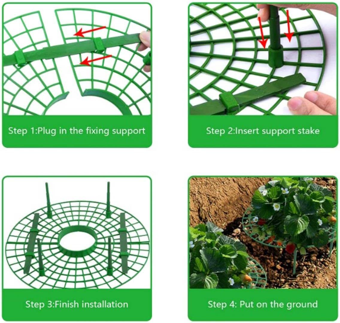 6 Pack Strawberry Growing Stand Strawberry Fruit Protection Support Stand Strawberry Plant Growing Stand — image 3