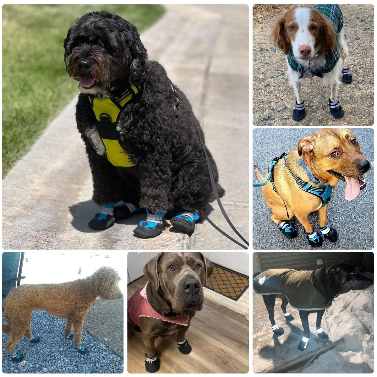 Breathable Dog Boots for Medium Large Dogs,Non-Slip Dog Shoes for Summer Hot Pavement,Lightweight Paw Protector Dog Booties for Outdoor & Indoor Hardwood — image 5