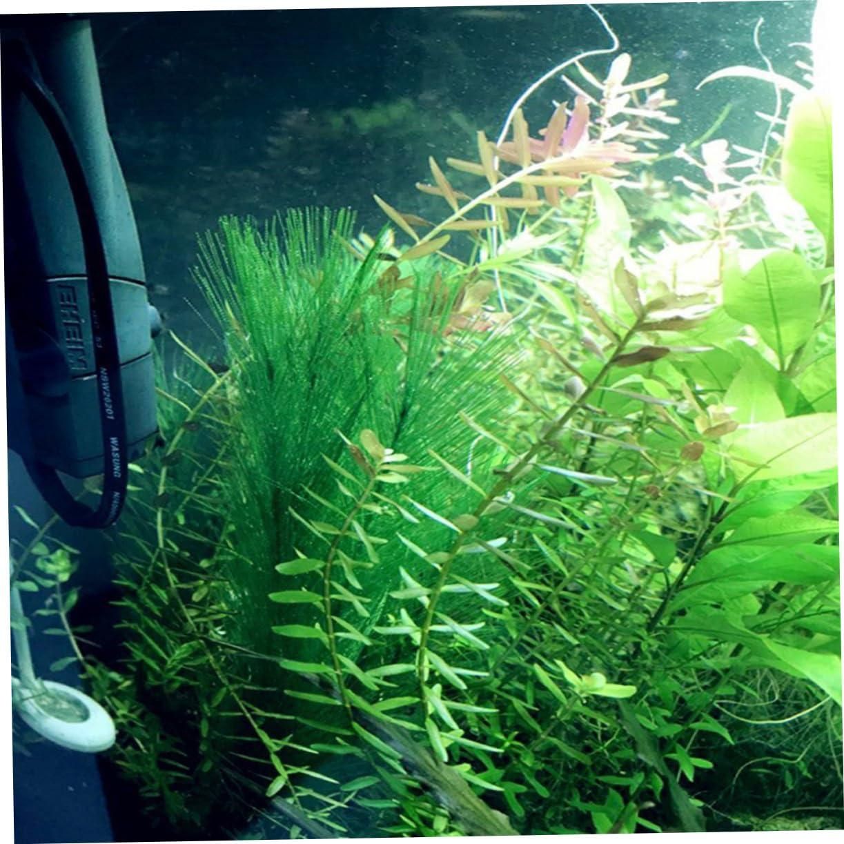 3pcs Fish tank decorations β image 4