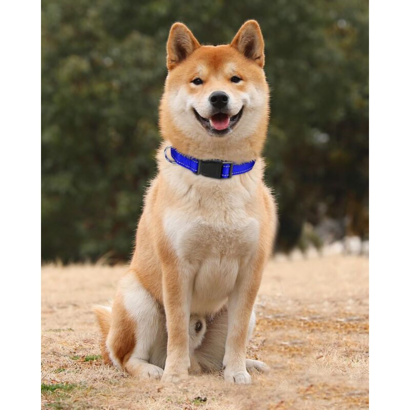 Dog Collar, Classic Adjustable Reflective Nylon Collar Suitable For Medium Dogs, DArk Blue, 2.5Cm Width — image 2