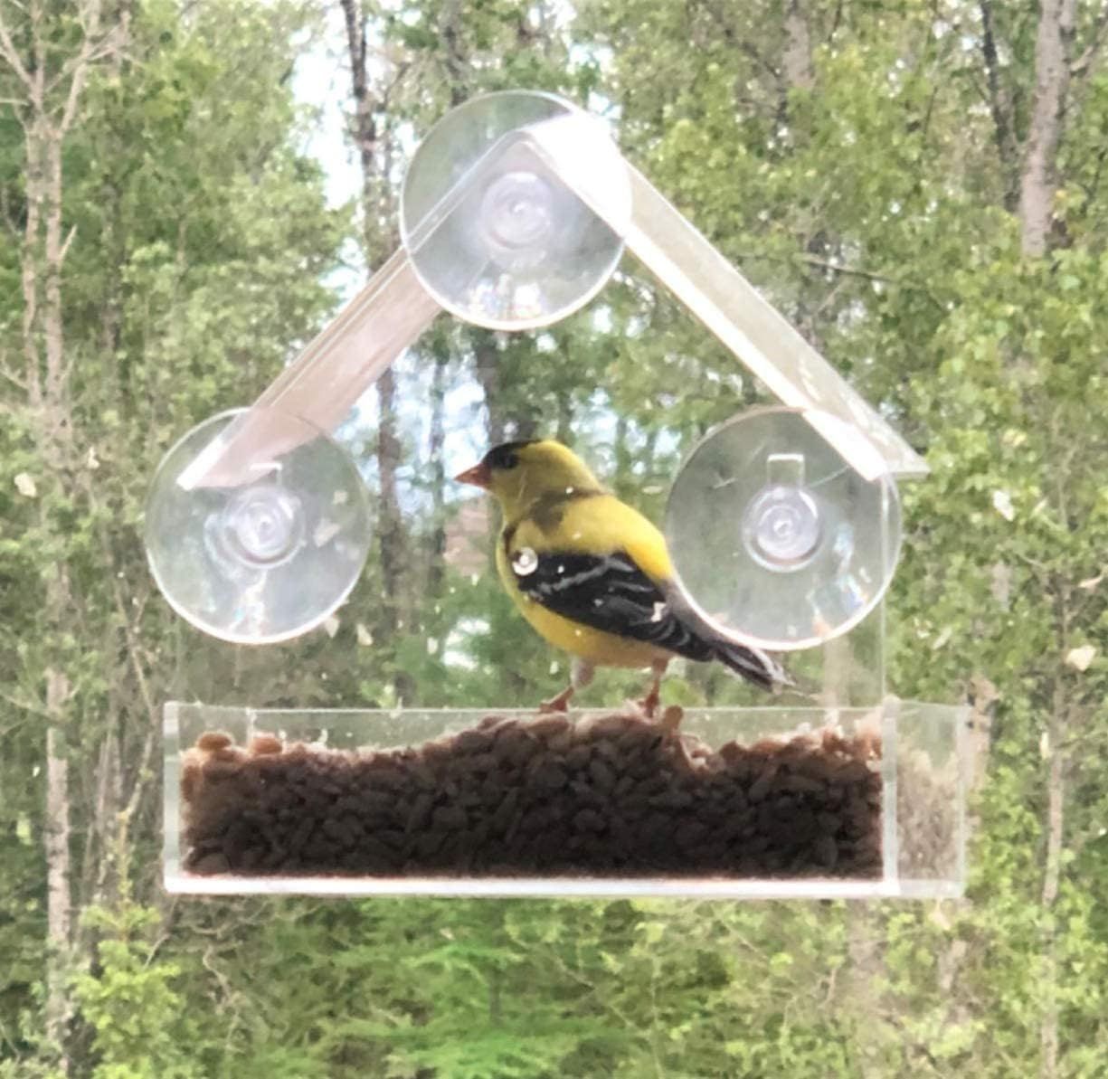 Ochine Window Bird House with Strong Suction Cup Wooden Birdhouse Clear Window Bird Feeder Outdoor Birds Nest Cage Outside Wild Easy Hanging Removable Tray — image 2