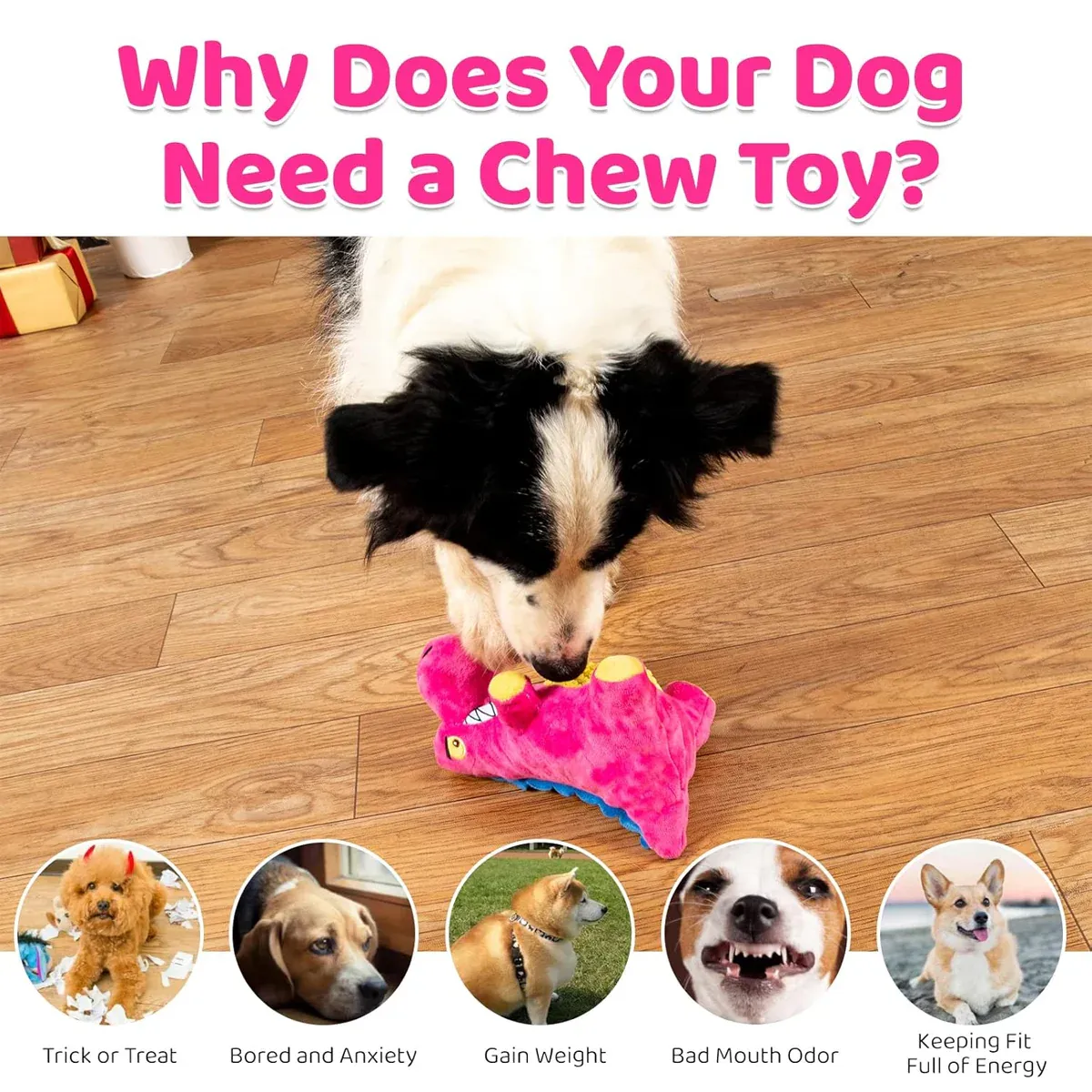 Dog Plush Squeaky Toy Interactive Boredom Relief Chew Resistant Pet Supplies — image 6