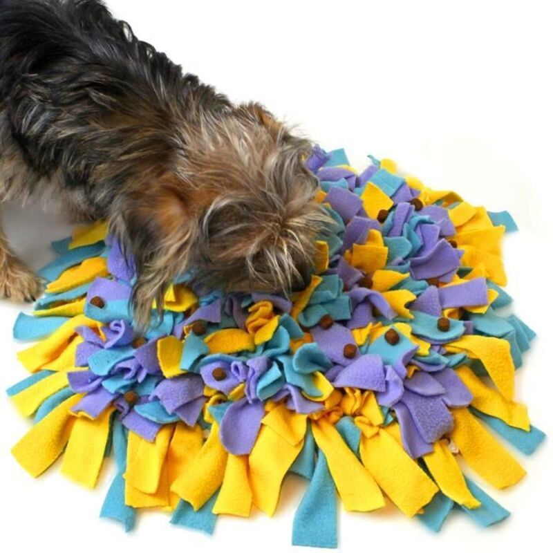 U7174 Training Mat Multicolored Indoor Outdoor Dog — image 4