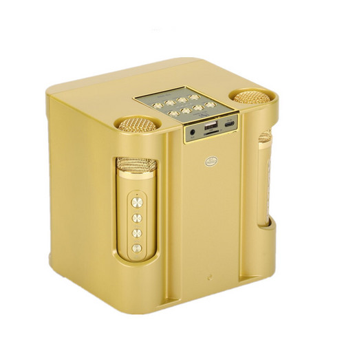 Gold Karaoke Machine with 2 Wireless Microphones Bluetooth-Compatible 5.0 for Parties — image 5
