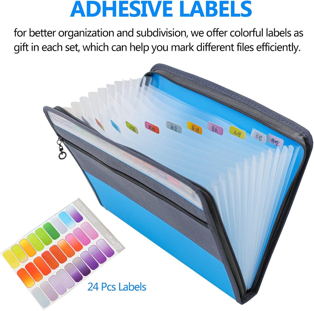 Project Folder - A4 - Foldable File Folder with Tabs - 13 Compartments - Storage Folder/Sorting Folder - Compartment Folder - Durable Plastic Document Folder โ image 4