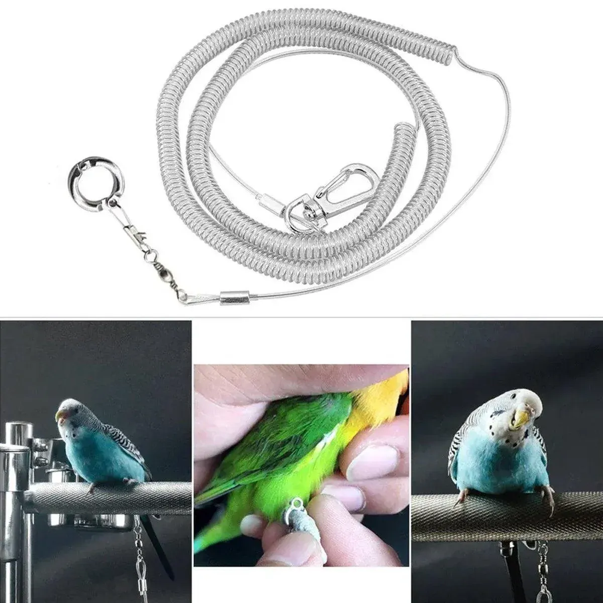 Parrot Leg Ring Anti Slip Bird Anklet Elastic Rope with Alloy Fasteners Supplies - 8mm — image 5