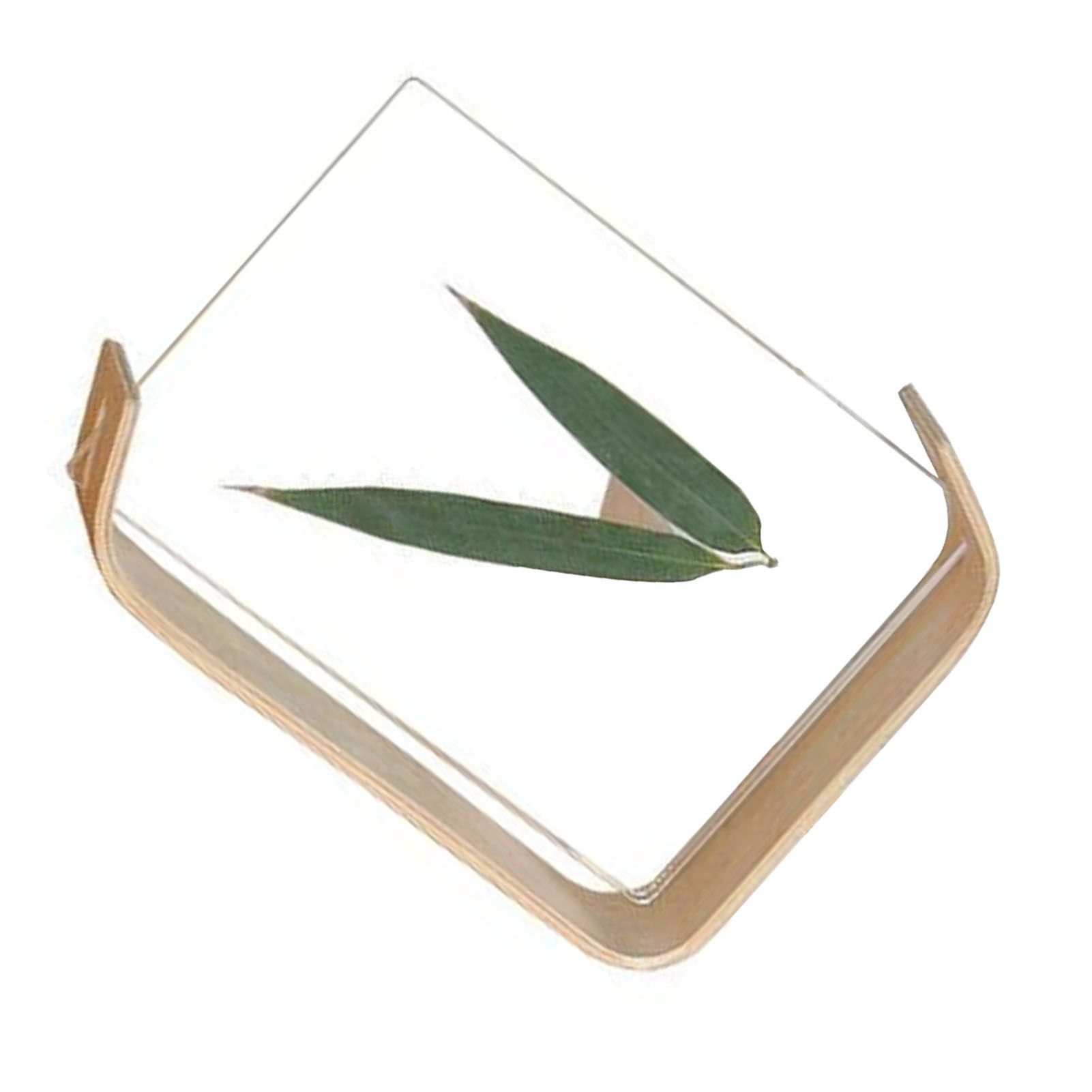Desktop Plant Specimen Frame Wooden Acrylic Simple Modern Photo Frame Desktop Ornament Home Decoration — image 3