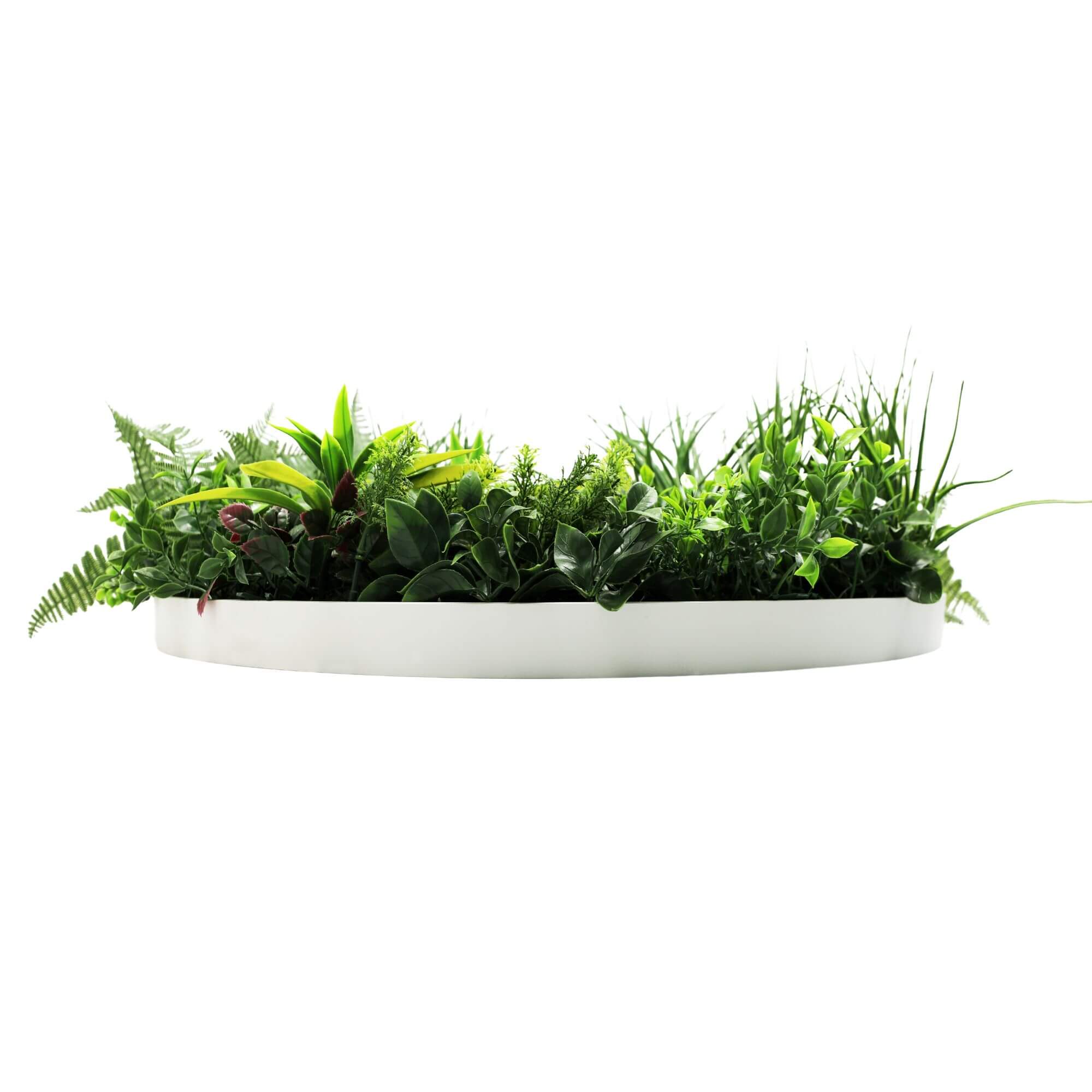 Slimline Artificial Green Wall Disc Art 80cm Country Fern UV Resistant (White) — image 4