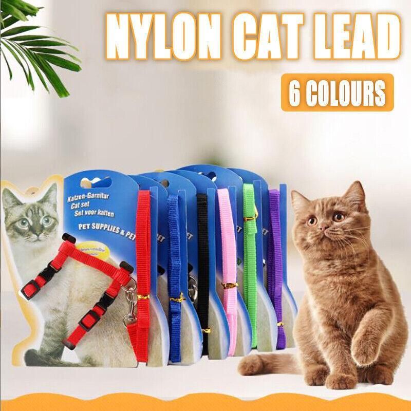 Nylon Cat Harness and Lead Set Adjustable Strap for Outdoor Walks - Blue — image 2
