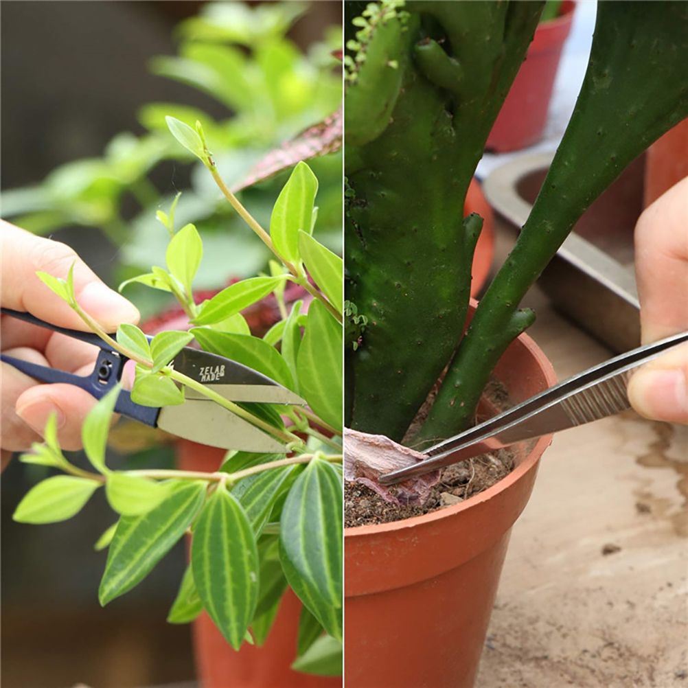10 Pcs Gardening Bonsai Tools Set Succulent Garden Hand Tool Kit Plant Tool with Shovels Rakes Fork Scissor Cleaning Brush — image 5