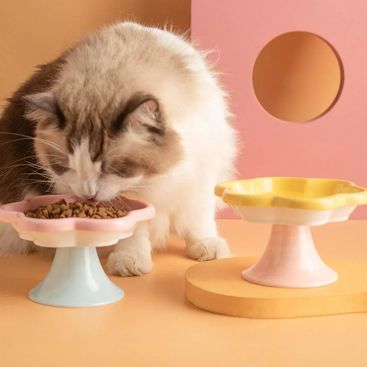Flower Ceramic Cat Bowl Pet Food Bowl Snack Tray for Cats and Small Pets Feeding - Yellow β image 6
