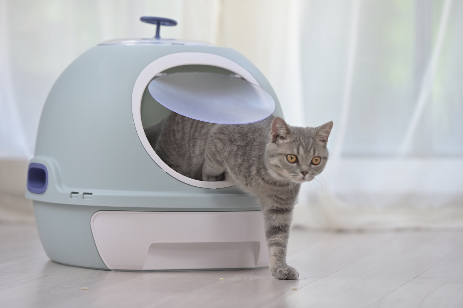 YES4PETS Cat Toilet Litter Box Tray House W Sky window Drawer Photocatalyst Purifier Blue — image 4