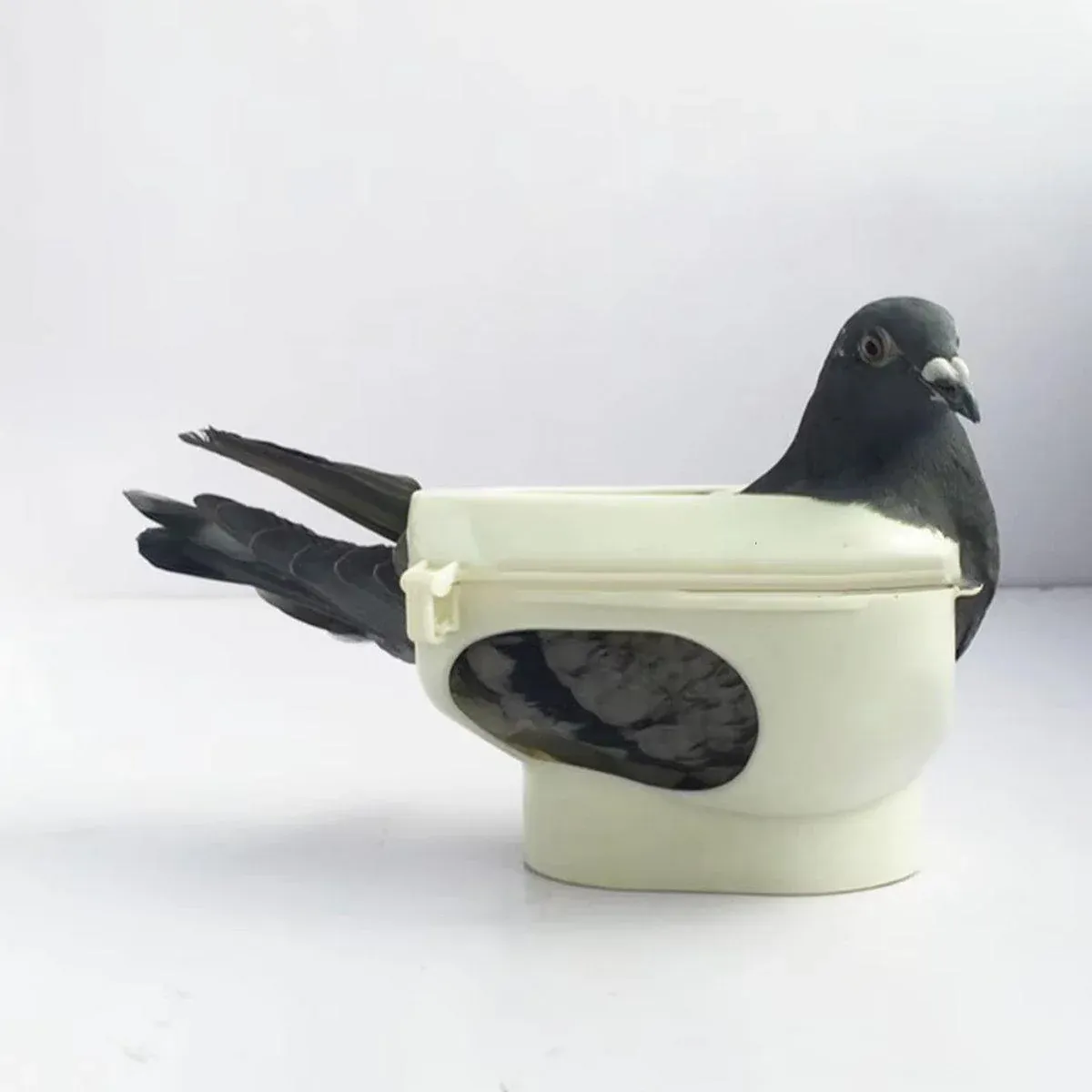 2X Practical Plastic Racing Pigeon Holder Fixed Frame Rack Bird Medicine Feeder — image 4
