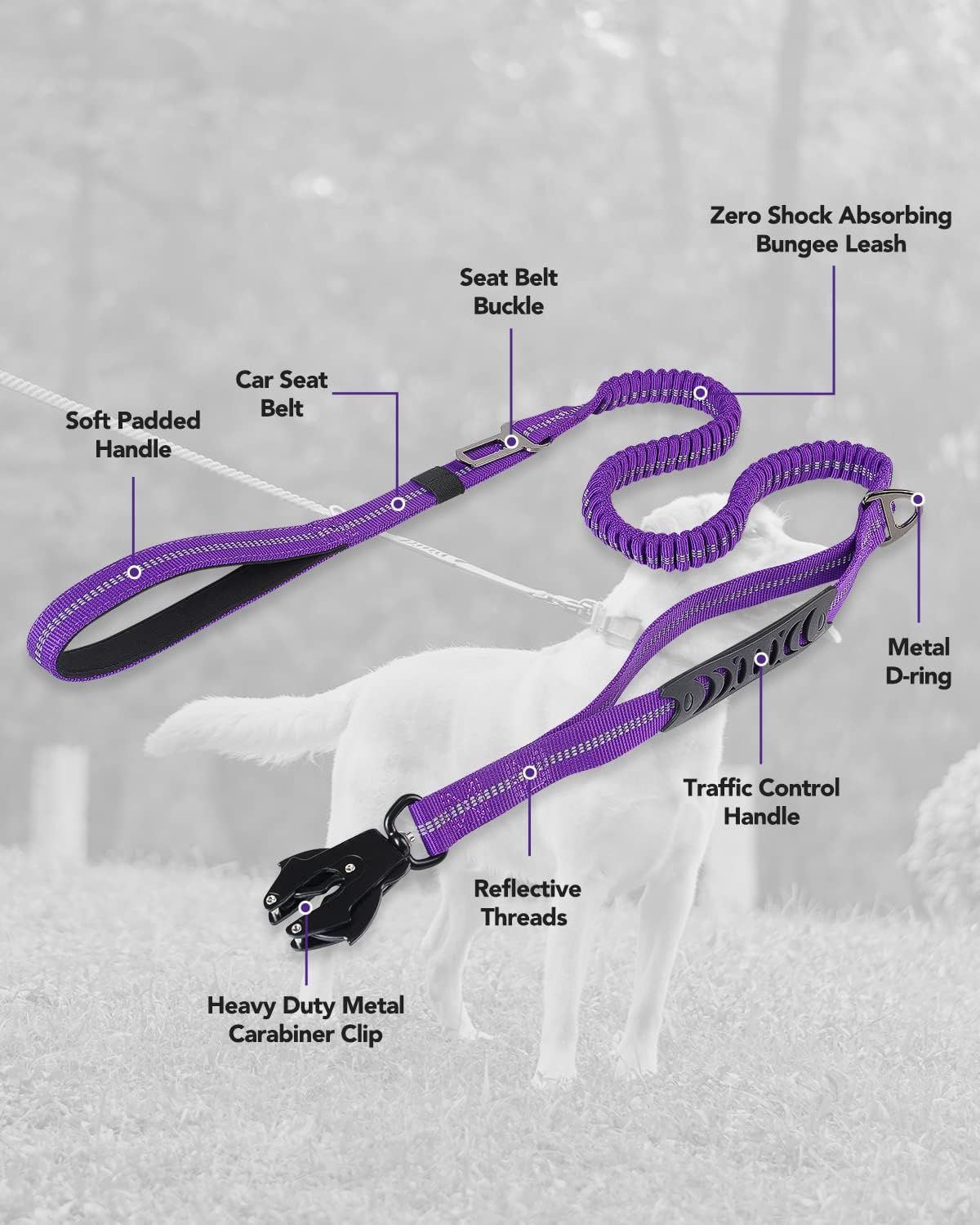 Bungee Dog Leash with Frog Snap Hook - Heavy Duty Elastic Training Lead for Medium Large Dogs - Shock Absorbing Anti-Pull Walking Leash - Purple — image 5