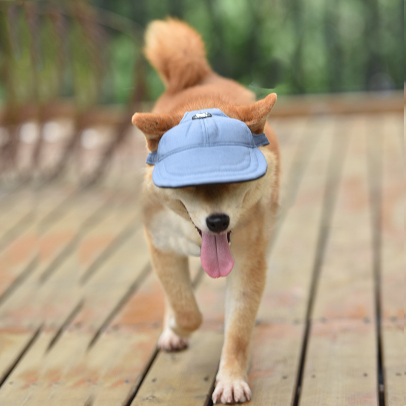 Size S Light Blue Adjustable Pet Baseball Cap for Cats and Dogs - Cute Sun Protection Hat for Outdoor Adventures โ image 3