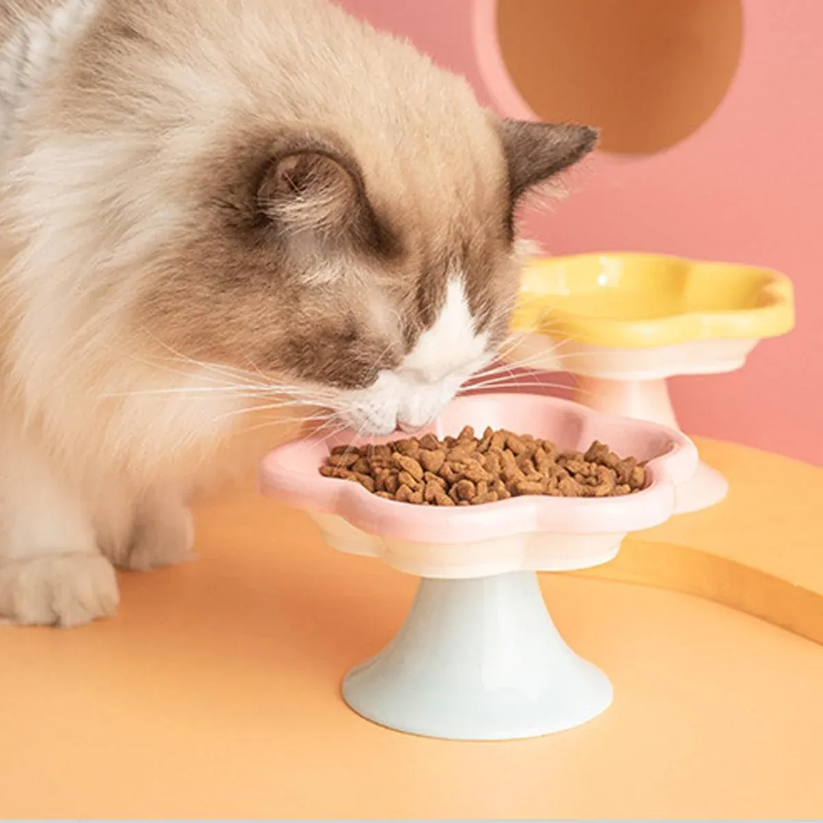 Flower Ceramic Cat Bowl Pet Food Bowl Snack Tray for Cats and Small Pets Feeding - Yellow β image 5