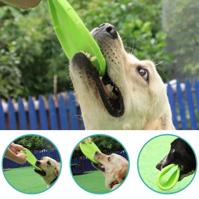Frisbee Toy for Dogs Outdoor Fetch Training Soft Rubber Pet Flying Disc 18cm - Green — image 6