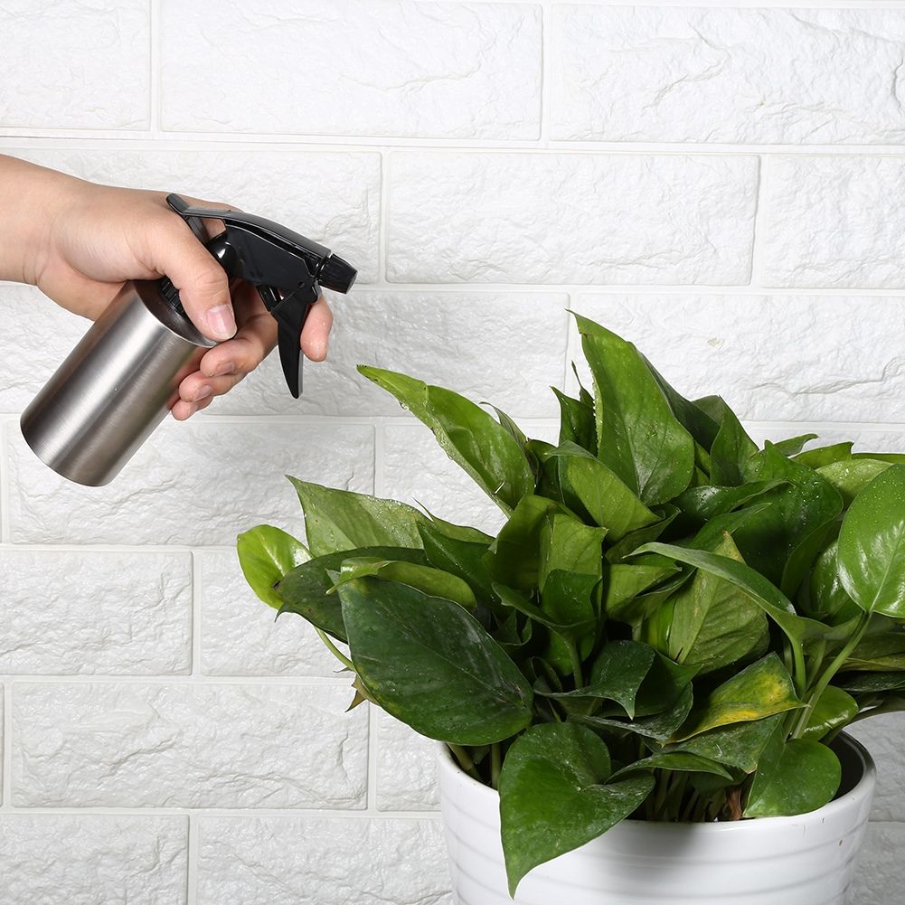 304 Stainless Steel Multi functional Pump Pressure Watering Pot Private Flower Water Cans 250ml — image 4