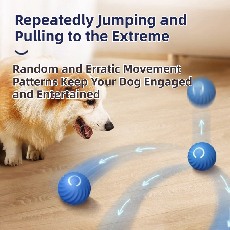 Blue Interactive Gravity Bouncing Dog Toy Ball(56MM) - Smart Automatic Teasing Pet Toy, Durable TPR with Yellow Sea Urchin Cover — image 3