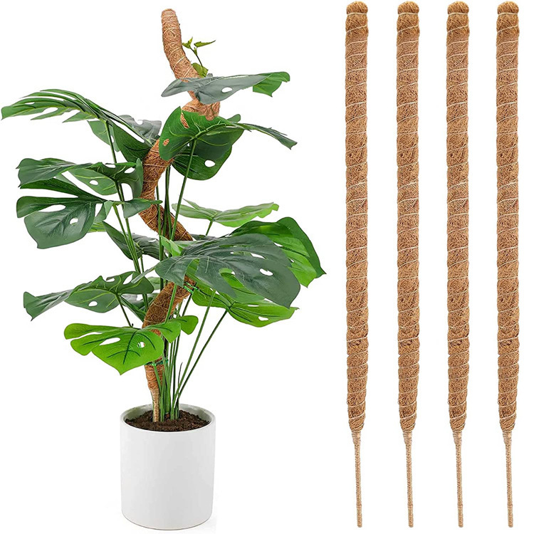 pcs Monstera moss pole for potted plants, bendable plant support