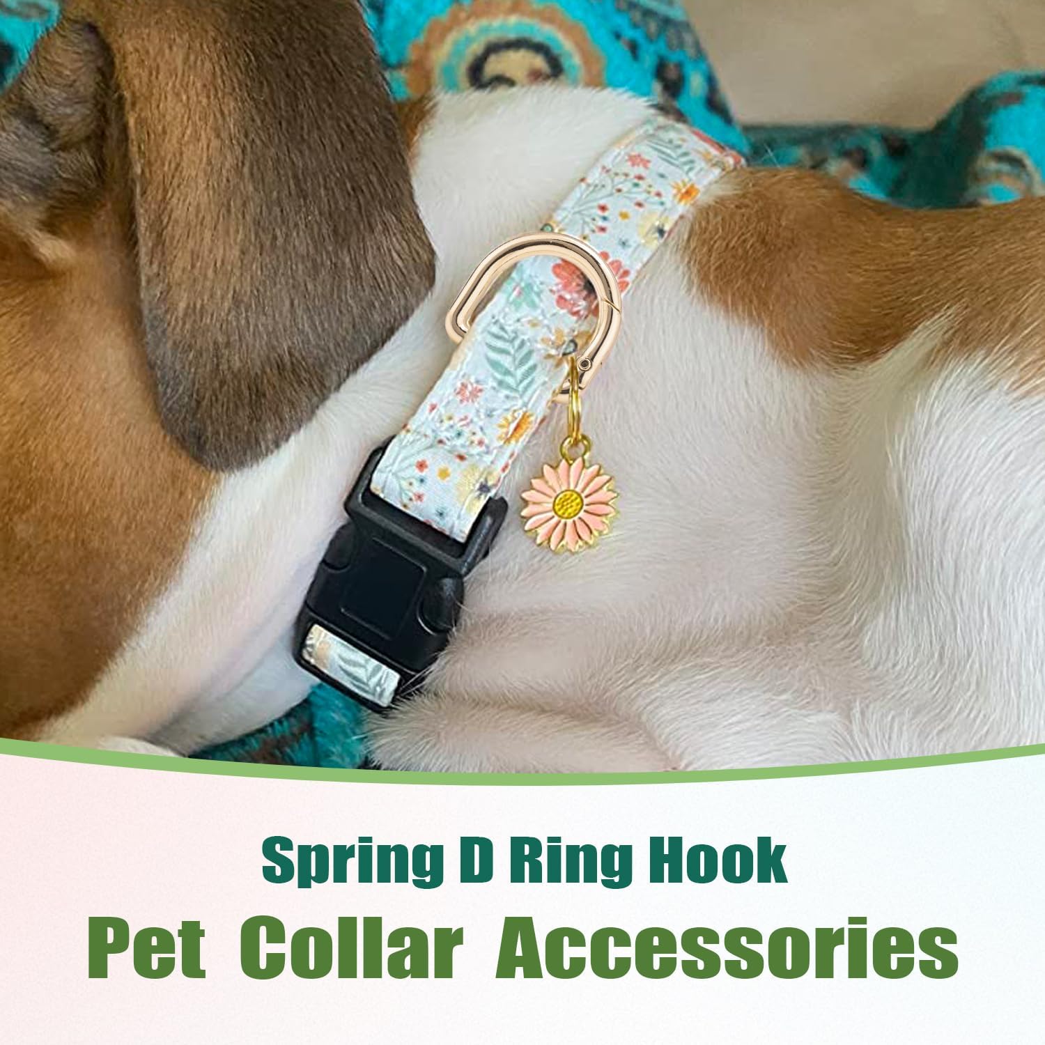 CooBigo 10Pcs Small D Ring Carabiner Clips, Metal Tiny Keychain Spring D Rings Hook for Car Keyring, Backpack Clips, Webbing Buckle, Paracord Keyrings, Dog Tag โ image 4
