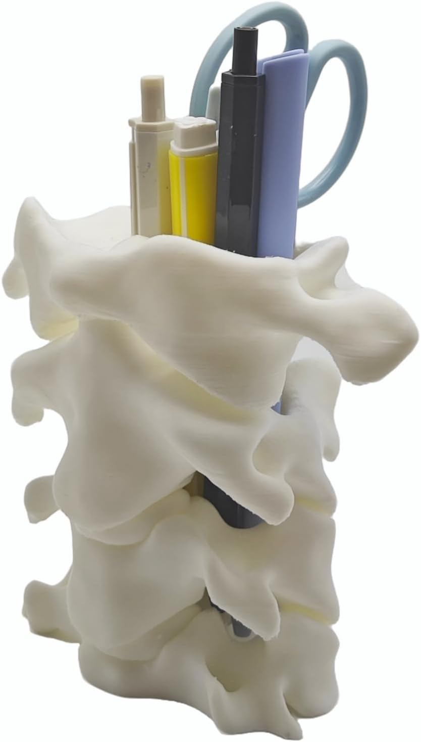 Unique Spine Pen Holder for Desk, Pencil Holder Desk Organizers, Office Supplies Decorations Idea Gift for Doctors, Nurses, Chiropractors โ image 6