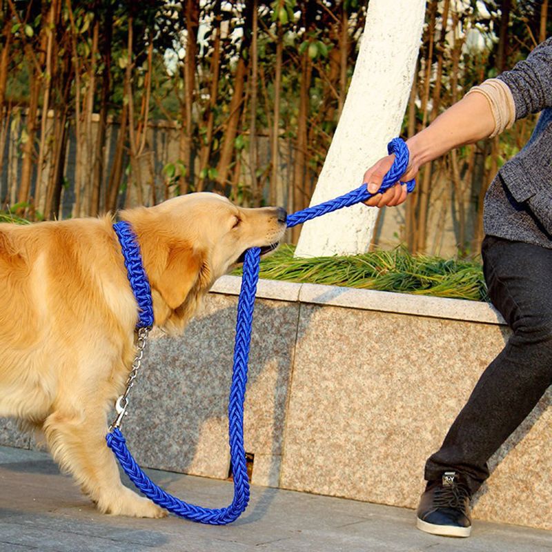 Nylon Dog Leash 8 Strand Braided Pet Walking Rope Army green M-rope length 1.3m thick 2.0cm โ image 4