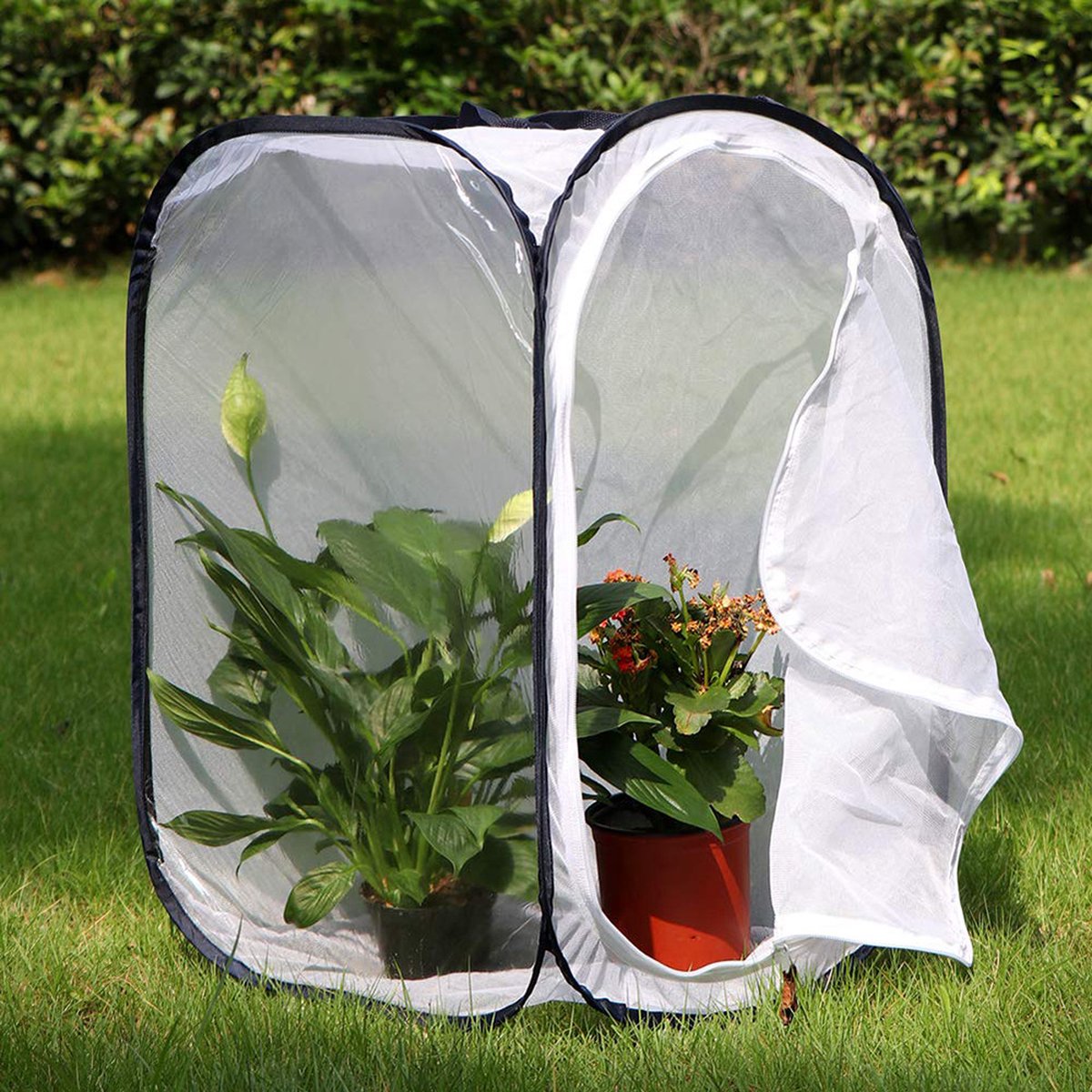 Insect Net - Insect and Butterfly Habitat Cage - Insect Breeding Net - Insect Hotel - Large Portable - Insect Monarch Butterfly - Pop-Up Cage - Garden Toy — image 3