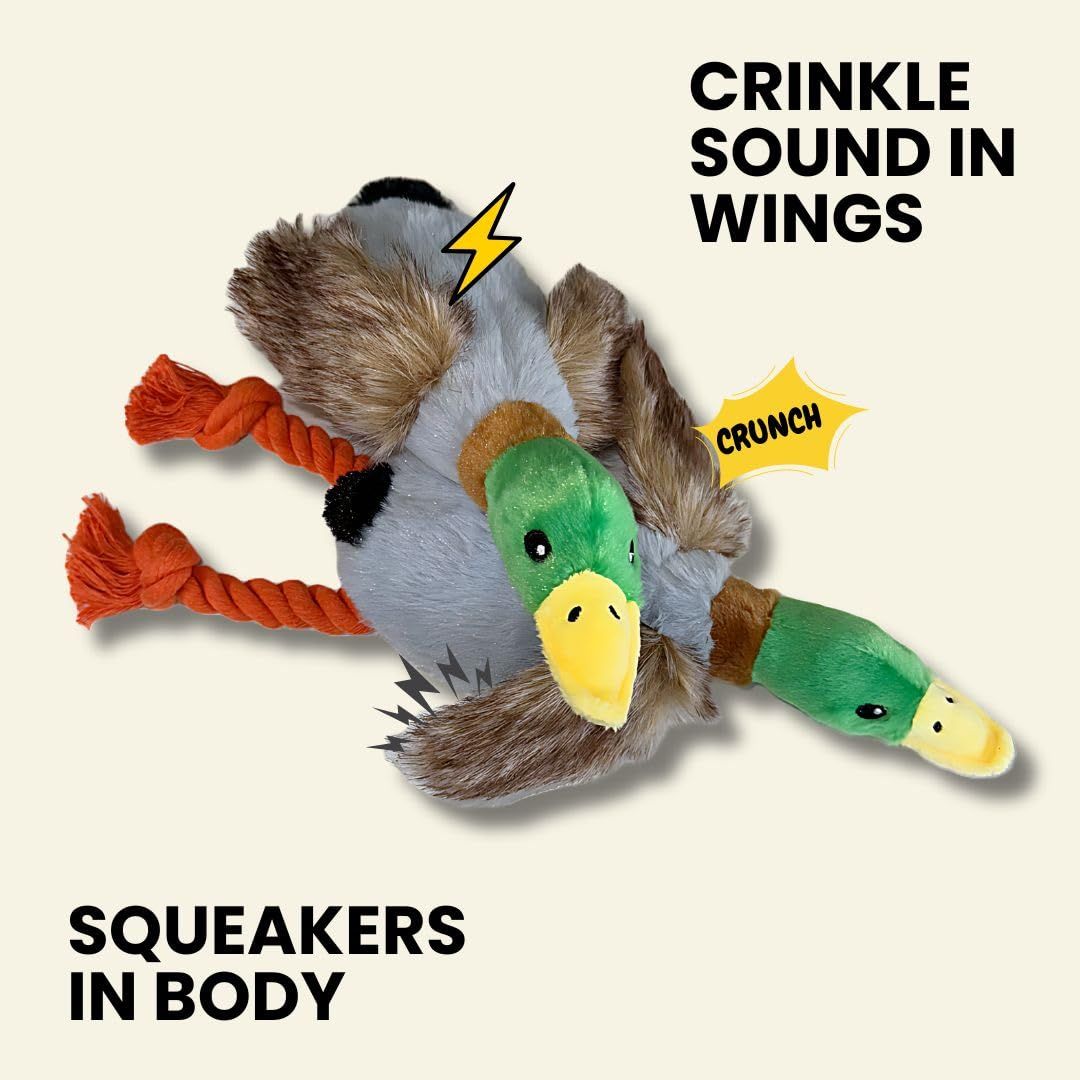 2-Pack Plush Duck Dog Toys with Squeakers, Crinkle Wings for Small Medium Dogs, Interactive Dog Toy, Durable Dog Toys to Keep โ image 2