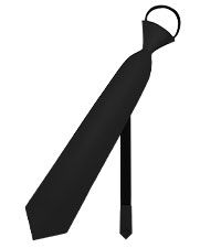 Black Tie for Women Girls Pre-Tied Womens Tie with Metal Chain Accessories Adjustable Necktie for School Shirt โ image 5