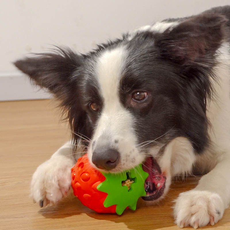 Dog Puzzle Toys, Rubber Dog Chew Toys,Treat Food Dispensing Dog Toys for Teeth Cleaning, Dog Ball Toy, Interactive Dog Enrichment — image 5